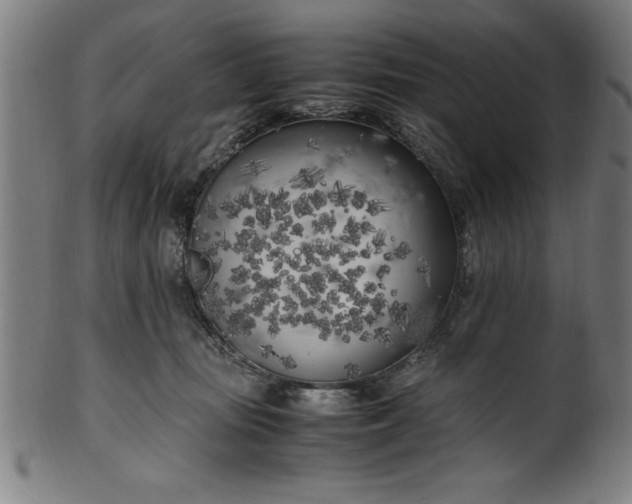 X0000099930371200806061500