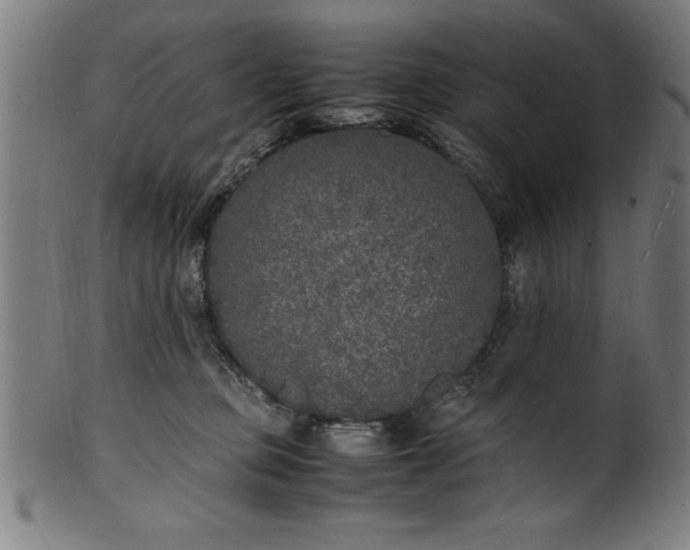 X0000099930373200806061500