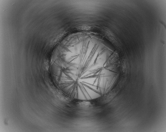 X0000099930374200806061500