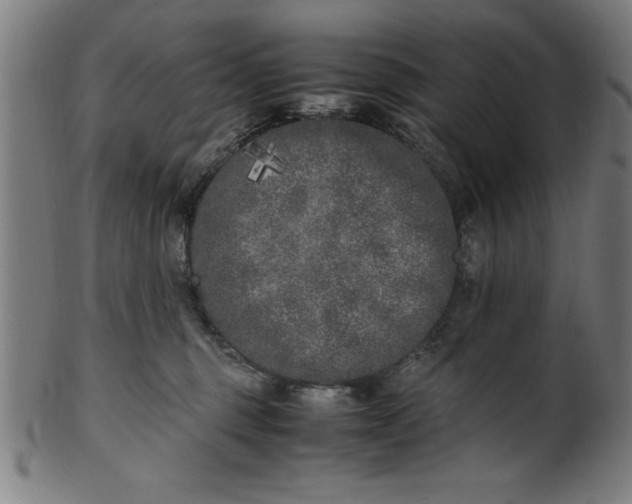 X0000099930375200806061500