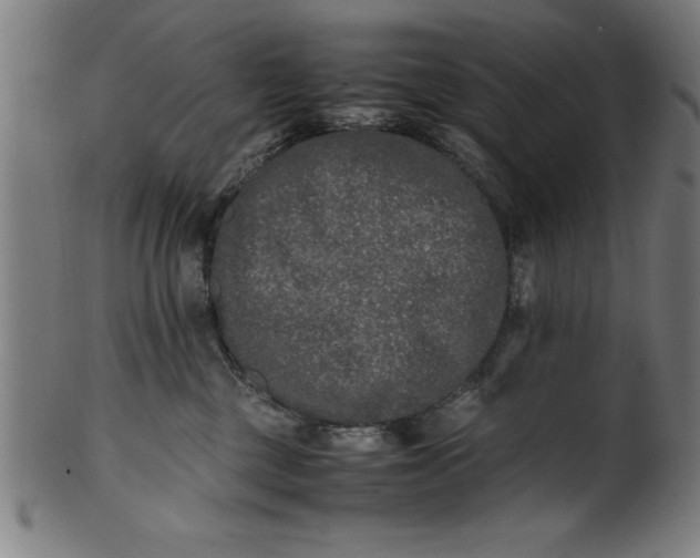 X0000099930377200806061500