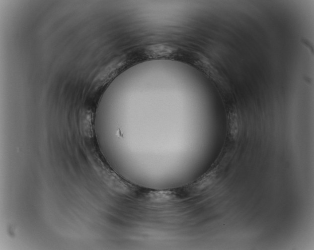 X0000099930378200806061500