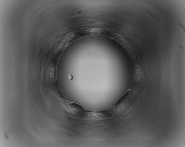 X0000099930379200806061500