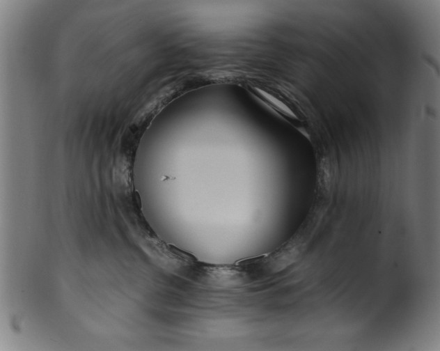 X0000099930380200806061500