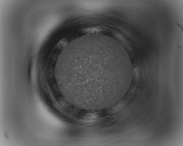 X0000099930381200806061500