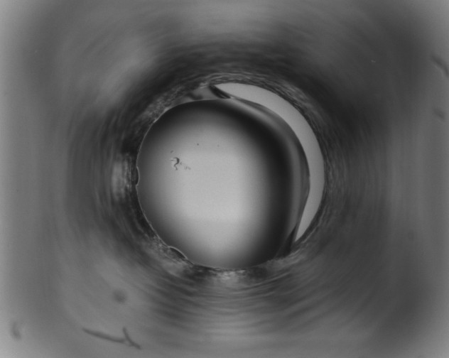 X0000099930382200806061500