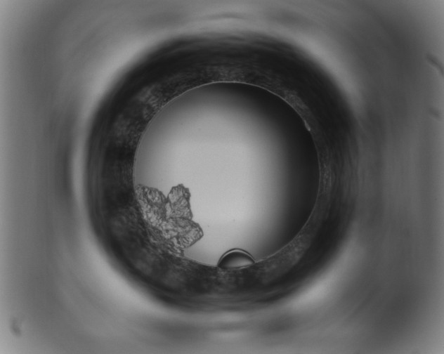 X0000099930383200806061500