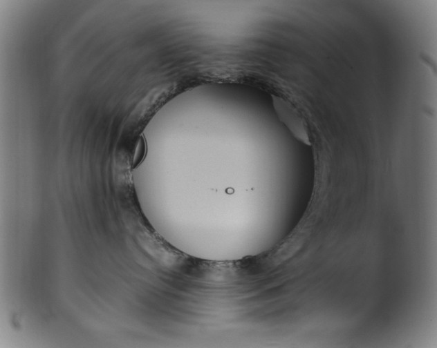 X0000099930384200806061500