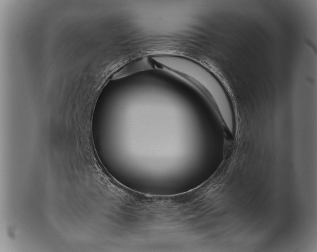 X0000099930385200806061459