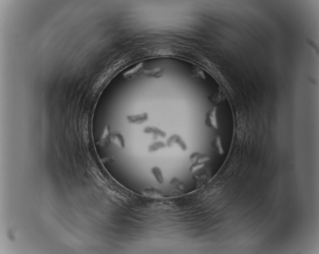 X0000099930386200806061459