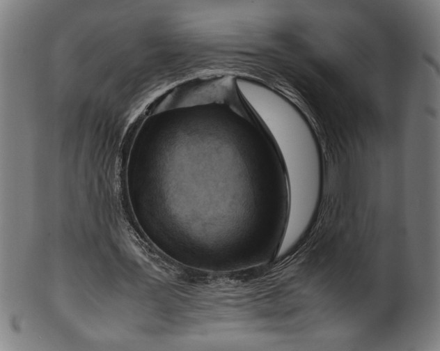 X0000099930387200806061459