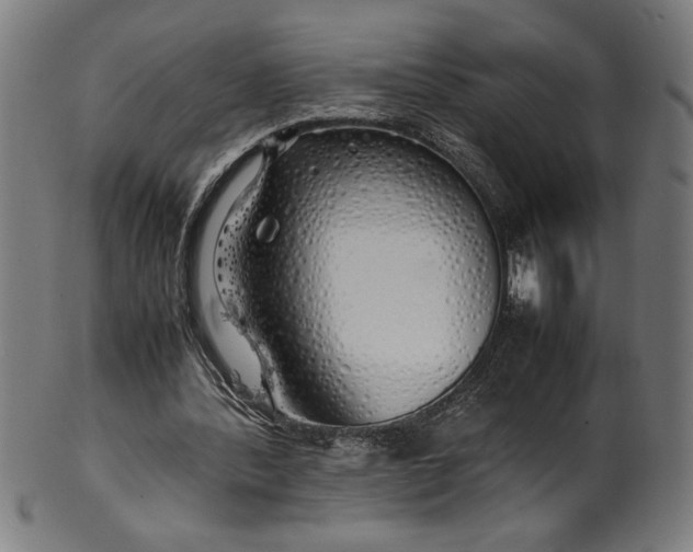 X0000099930388200806061459