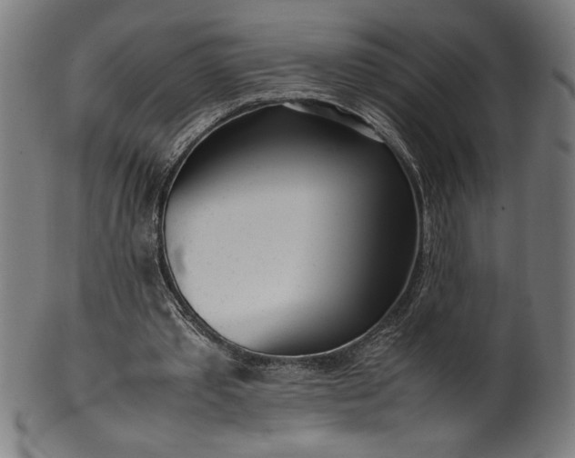 X0000099930389200806061459