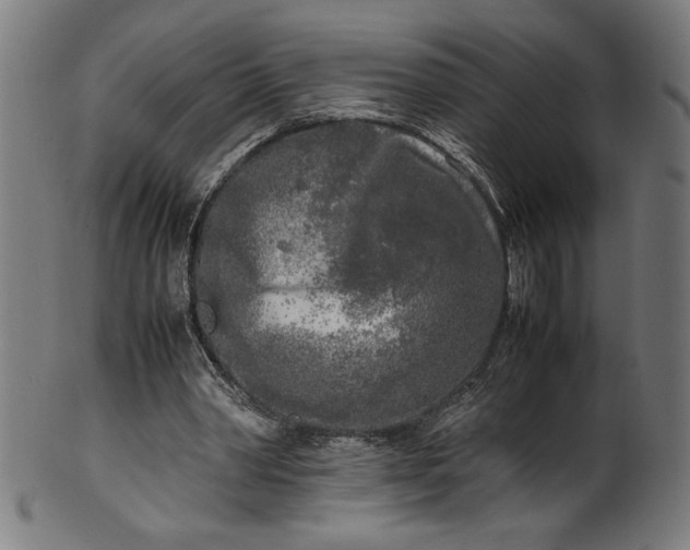 X0000099930390200806061459