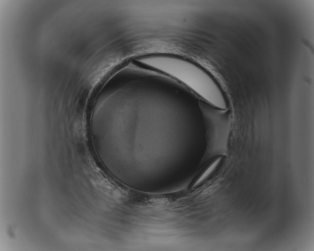 X0000099930391200806061459