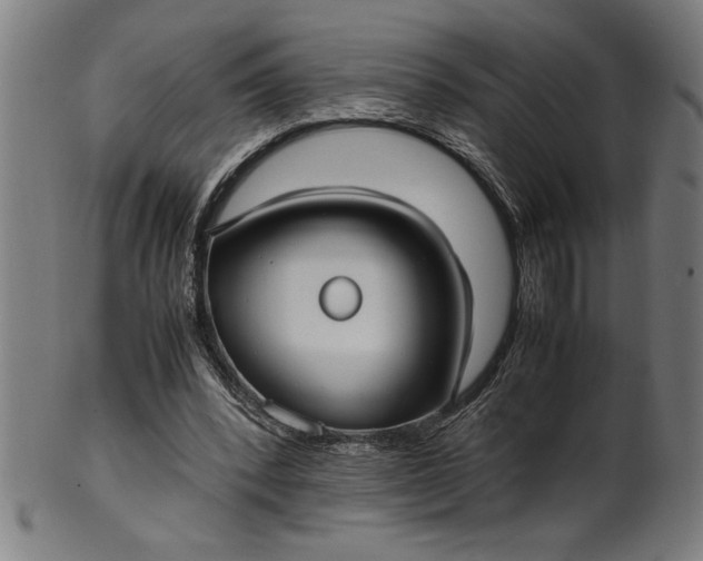 X0000099930392200806061459