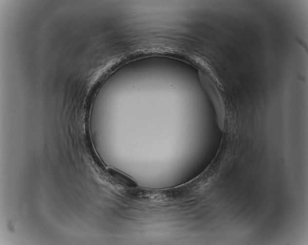 X0000099930395200806061459