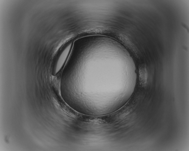 X0000099930396200806061459