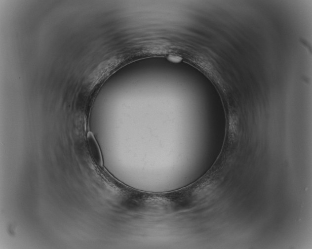 X0000099930397200806061459