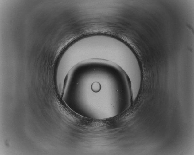 X0000099930399200806061459