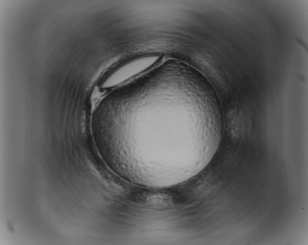 X0000099930400200806061459