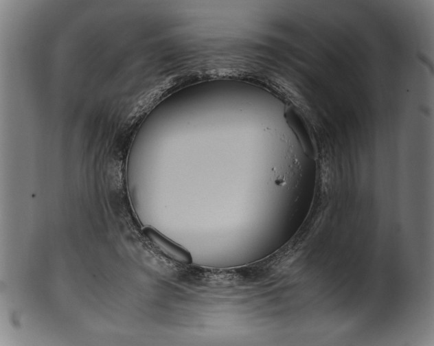 X0000099930401200806061459