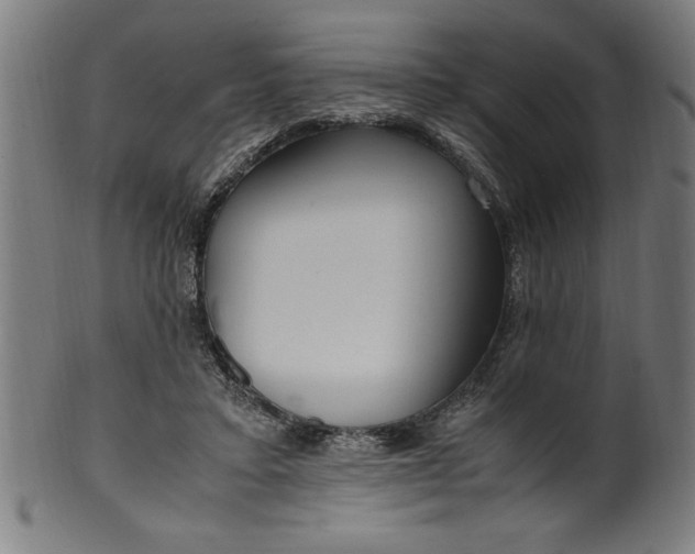 X0000099930403200806061459