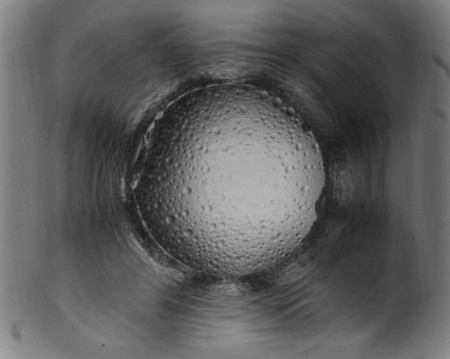 X0000099930404200806061459