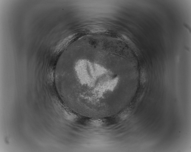 X0000099930405200806061459