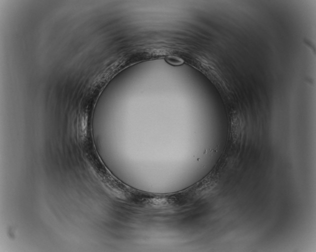 X0000099930406200806061459