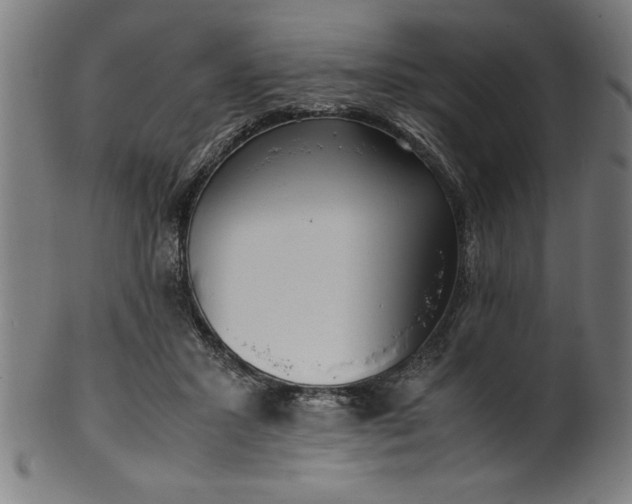 X0000099930407200806061459