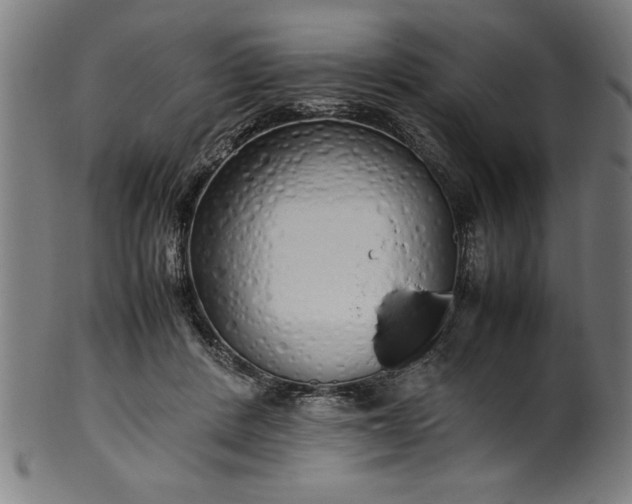 X0000099930408200806061459