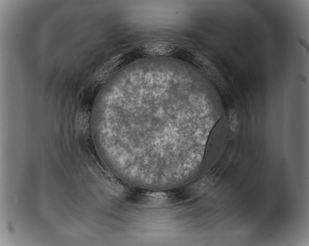 X0000099930409200806061459