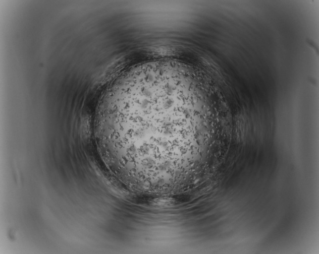 X0000099930410200806061459