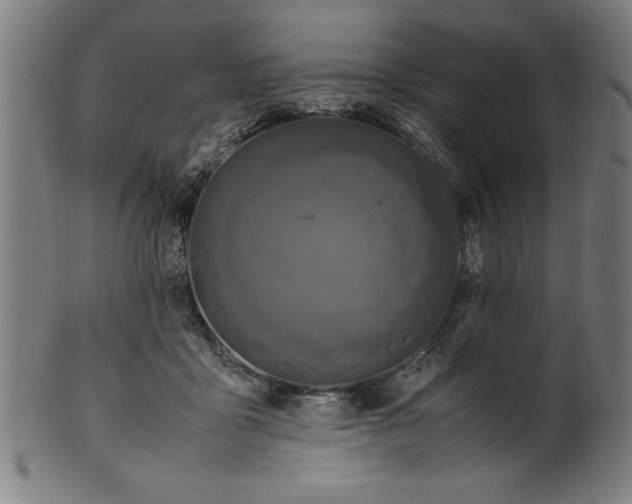 X0000099930411200806061459