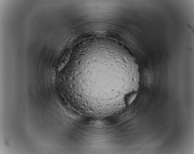 X0000099930412200806061459