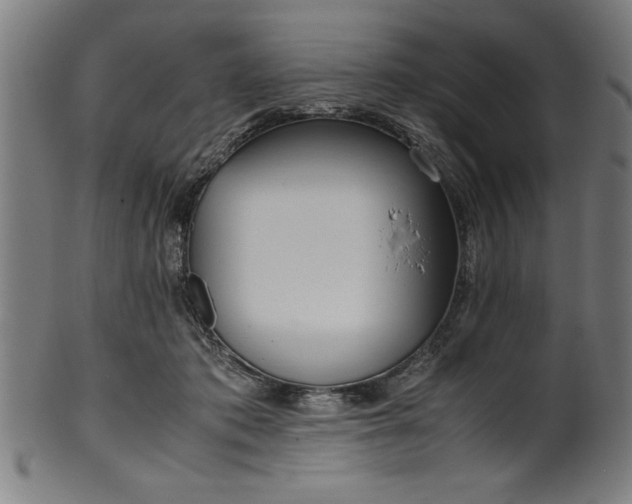 X0000099930413200806061459