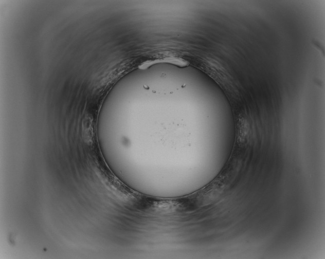 X0000099930414200806061459