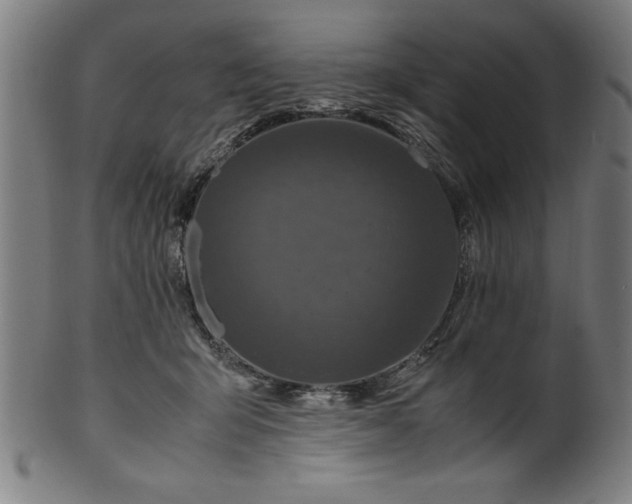 X0000099930415200806061459