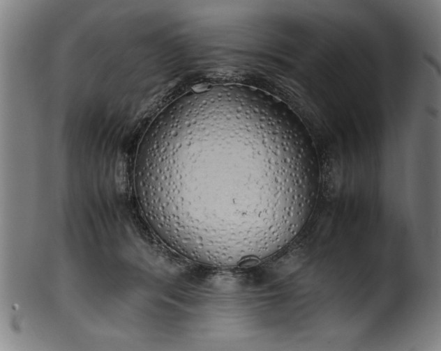 X0000099930416200806061459