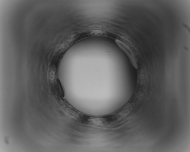 X0000099930417200806061459