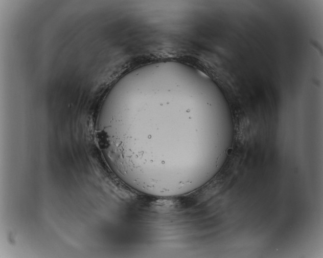 X0000099930418200806061459