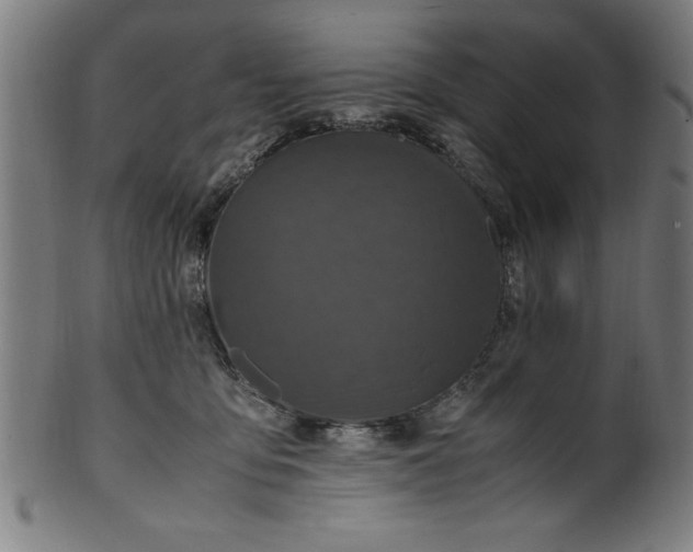 X0000099930419200806061459