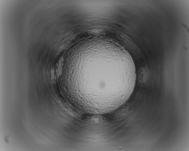 X0000099930420200806061459