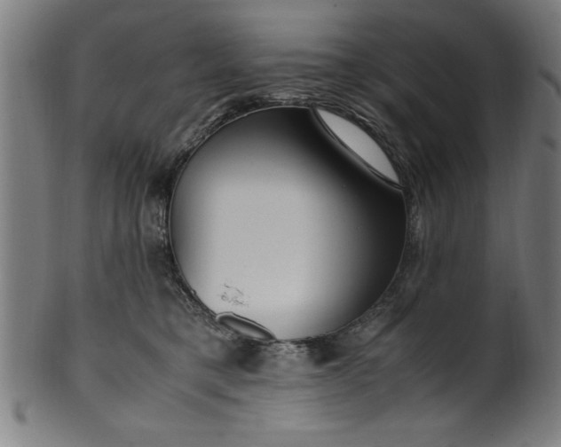 X0000099930421200806061459