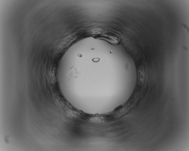 X0000099930422200806061459