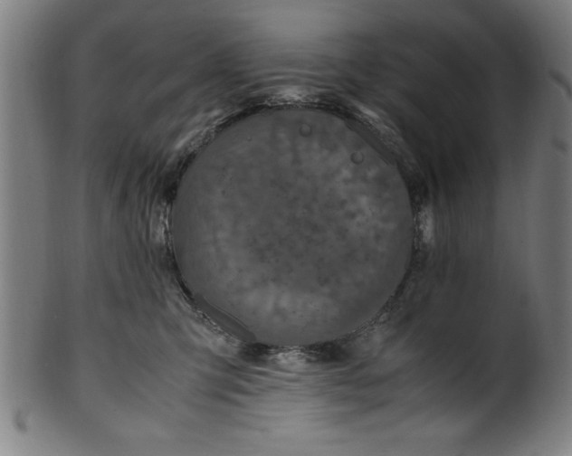 X0000099930423200806061458