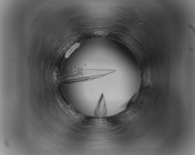 X0000099930424200806061458