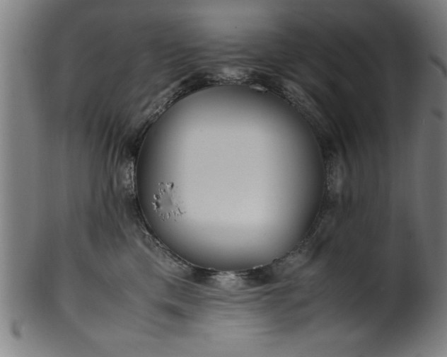 X0000099930425200806061458