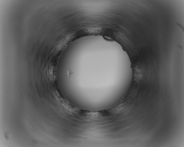 X0000099930428200806061458